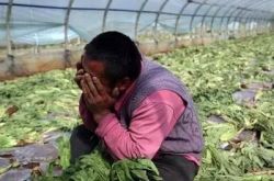 教师编备考：教综备考细节可落地高频版·2A