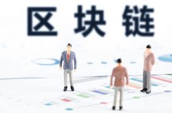 教师编备考：真题与模拟案例体现专业高频版·2F